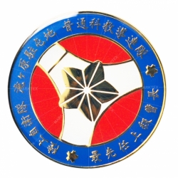 Professional Associations coins